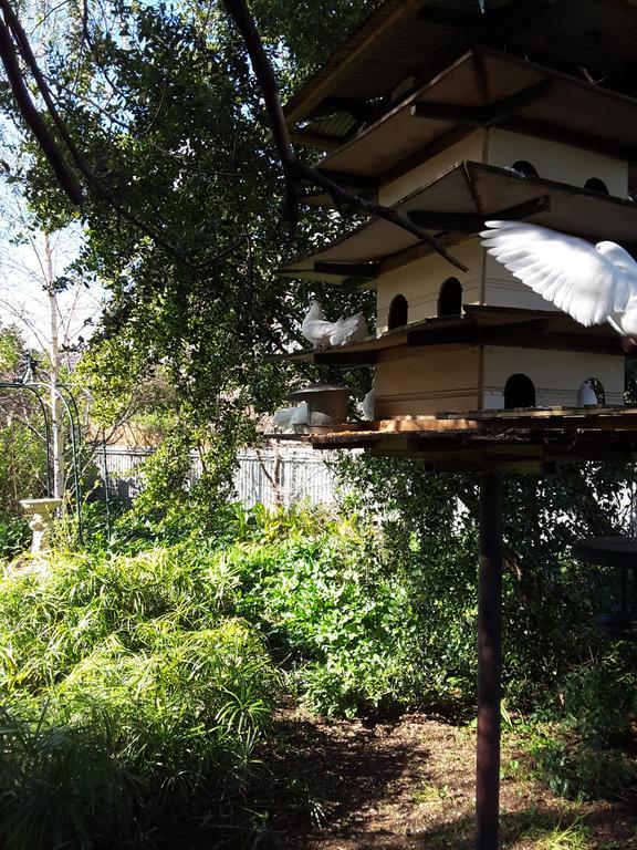 The Dove Cote Bed & Breakfast Tanunda Exterior foto