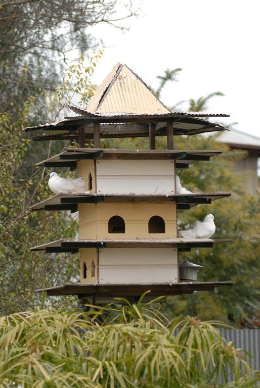 The Dove Cote Bed & Breakfast Tanunda Exterior foto